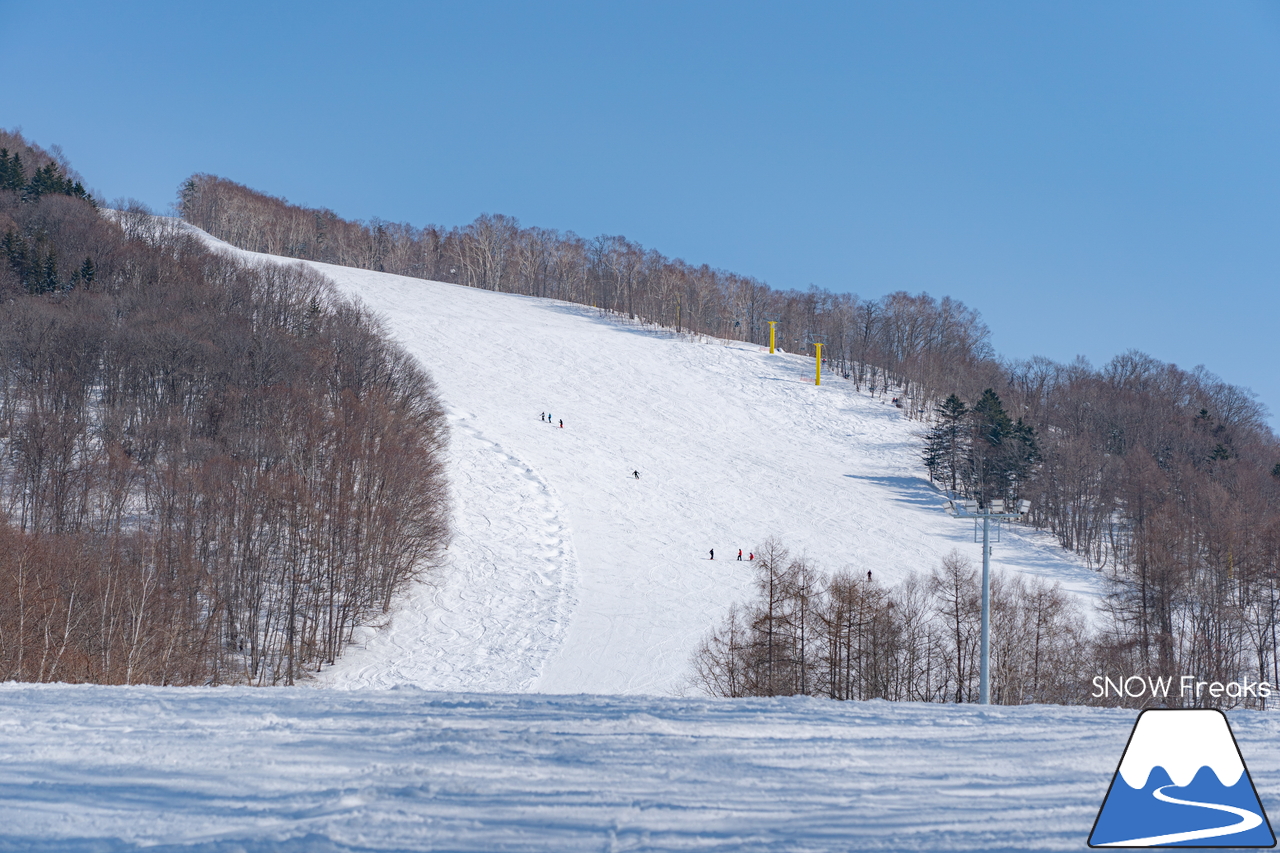 カムイスキーリンクス｜遂にやってきたポカポカ陽気！春雪コンディションのゲレンデに華麗なシュプールを描きましょう(^^)/